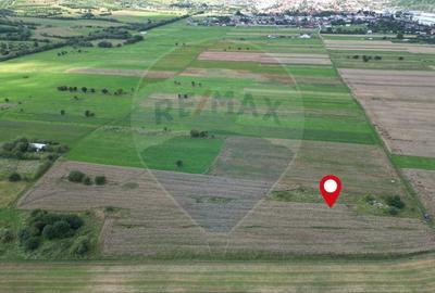 Teren agricol intravilan de 1180 mp, în Sud - 6