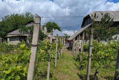 Casă cu 3 camere în Păunești - 7
