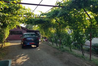 Casă cu 3 camere cu Teren 1845 Mp în Central - 2