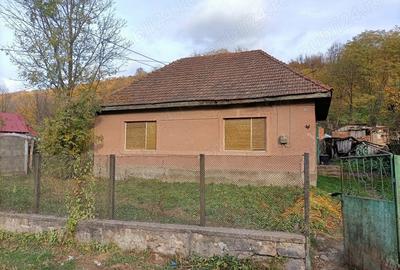 Casă cu 4 camere cu Teren 2878 Mp în Dognecea - 3