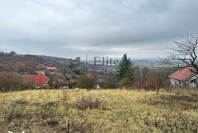 Teren de 1765 mp, în Orașul Nou - 4