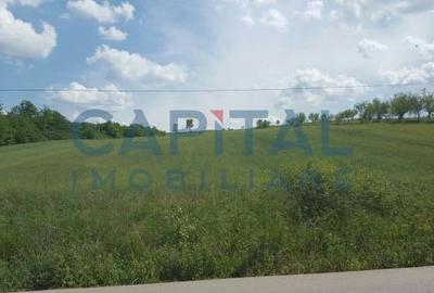 Teren intravilan 3500 mp Zalau - 5