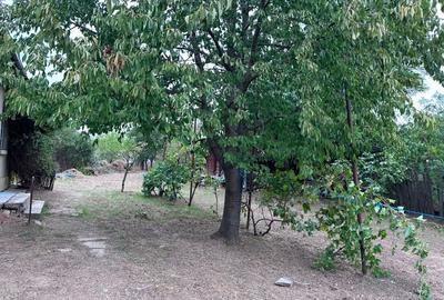 Casa 4 camere înalte, Ialomița, Ciochina, teren 1610 m, - 9