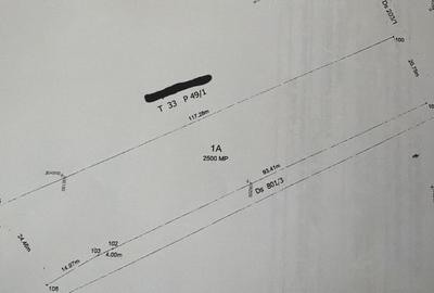 Teren Construcții intravilan de 2500 mp, în Malu Mare - 1