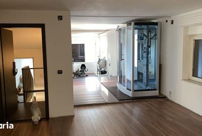 Casă cu 6 camere cu Teren 1753 Mp în Dumbrăvița - 9