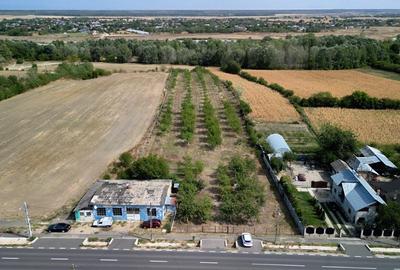 Vanzare teren 9654 mp, deschidere 27m, comuna Dobra, sat Dobra - 1