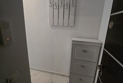 Garsonieră decomandată, mobilată în Gorjului - 9