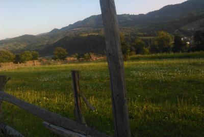 Teren intravilan 5360mp Bistrita Nasaud | Tiha Bargaului - 5