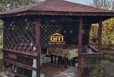 Casă cu 6 camere cu Teren 5600 Mp în Golești - 11