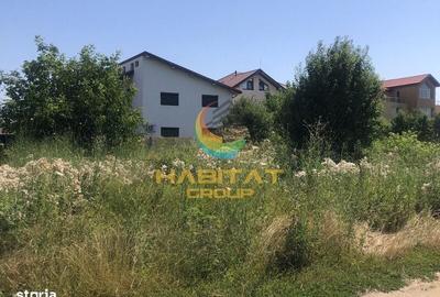 Spațiu comercial, în Domnești