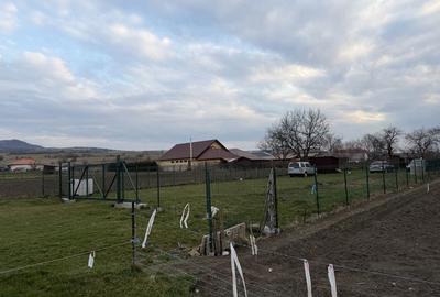 Teren de 750 mp, în Nord-Est - 3