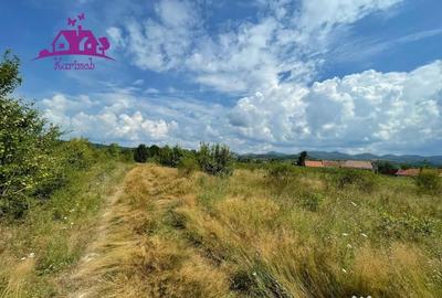 Teren de 3382 mp, în Meziad - 2