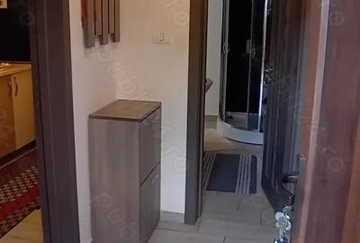 Inchiriez apartament cu o camera Timi?oara, zona Lipovei Inchiriez apartament cu o camera Timi?oara, zona Lipovei - 9