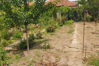 Casa de vanzare in Craiova pe Raului, teren mare - 5