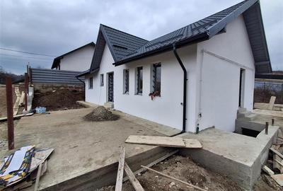 Casă individuală cu 3 camere cu Canalizare în Vișani - 1