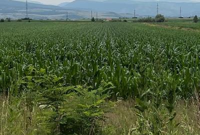 Spațiu comercial, în Central - 1