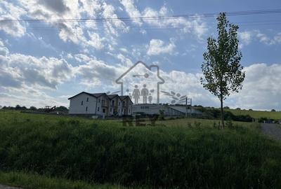 Teren HALA de vanzare iesirea din Sura Mare spre Hamba. - 4