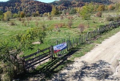 Teren de vanzare in Leresti - ideal pentru casa sau pensiune la munte - 6