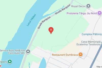 Teren Barajelor-Ionel Teodoreanu - 1