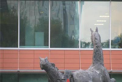 Spațiu comercial, în Nord - 5