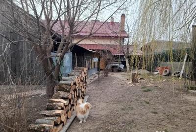 Casă cu 5 camere cu Teren 2600 Mp în Mitocu Dragomirnei - 1