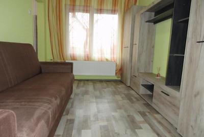 Apartament 1 camera la parter intr-un bloc de apartamente in Vlaicu, renovat, mobilat - 4