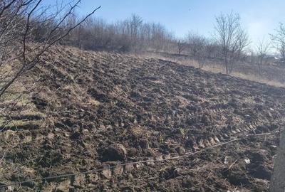 Teren de 900 mp, în Cuza Vodă (Popricani) - 3