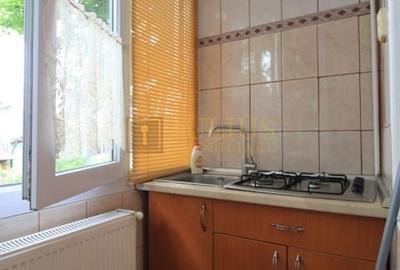 Zona Lipovei, 2 camere,  centrala proprie - 13