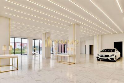 Spatiu Comercial | 320 mp | Suceava | Alexanderman | |ID:1410 - 1