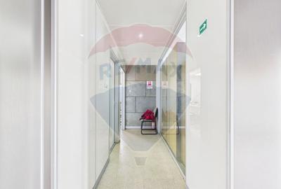 Spațiu industrial, de 472.66000366211 mp, în Theodor Pallady - 7