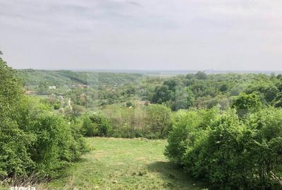 Spațiu comercial, în Valea