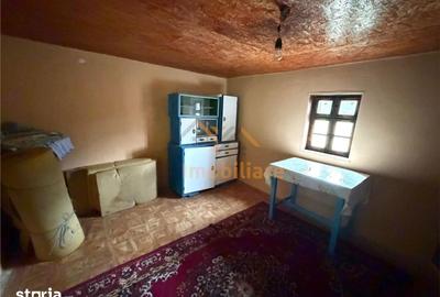 Casă cu 4 camere cu Teren 2846 Mp în Aștileu - 1