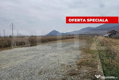 Teren de 2600 mp, în Șoimuș