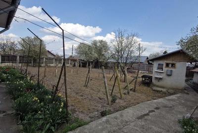 Casă cu Teren 1045 Mp în Ciorani - 3