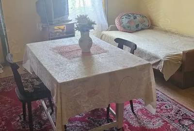 Casa de vanzare in Vraniut - 10