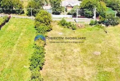 TEREN intravilan 2510 mp BORLE?TI - ?OVOAIA - 2