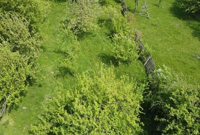 Teren de 1070 mp, în Berevoești - 6