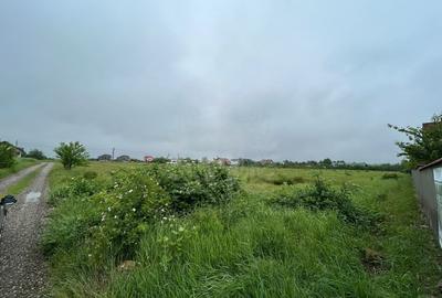 Teren Construcții intravilan de 9928 mp, în Păulești - 1