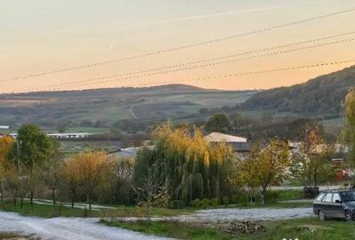 Casă cu 3 camere cu Teren 450 Mp în Nufărul - 1