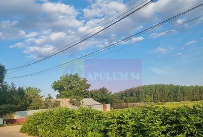 Se vinde teren 4200 mp in Teisori Giurgiu - 9