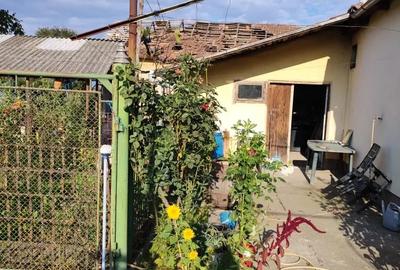 Casă cu 6 camere cu Teren 2900 Mp în Gurbediu - 10