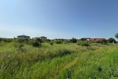 Teren Intravilan | Magurele | 4000 mp | Curent si Gaz - 2