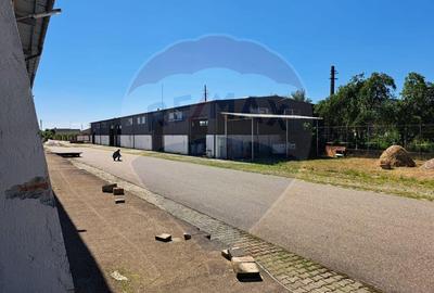 Spa?iu industrial de vanzare in Sangeorgiu de Padure... - 9