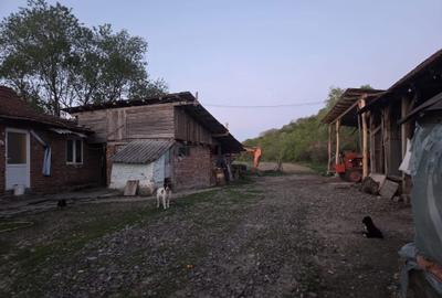 Casă cu 4 camere în Lăpușnic - 4