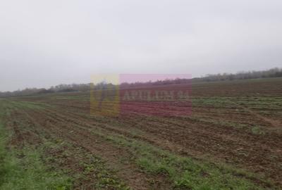 Teren în Central - 3