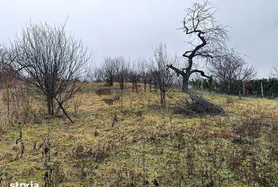 Teren de 1765 mp, în Orașul Nou - 3
