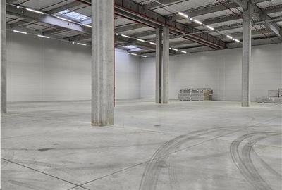 Spatii Industriale - 9500 mp - Logistica - Productie - Depozitare - Distributie - 2