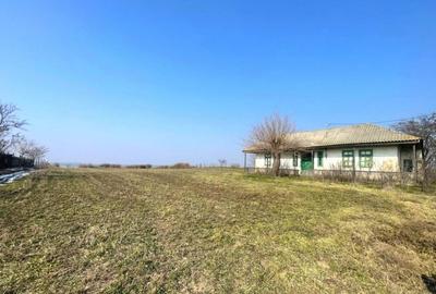 Teren Intravilan Daeni Tulcea - 5