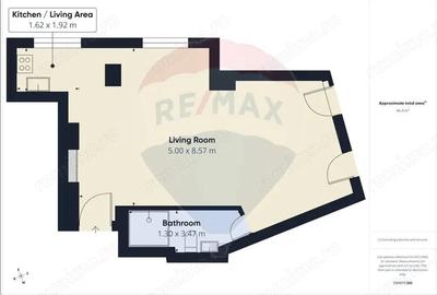 Apartament cu 2 camere de vanzare in zona Calea Victoriei - 11