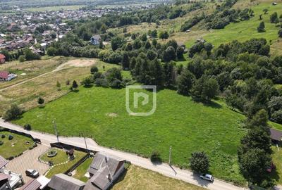 Teren intravilan 7800mp Wurzburg | Gura Humorului | Bucovina - 2